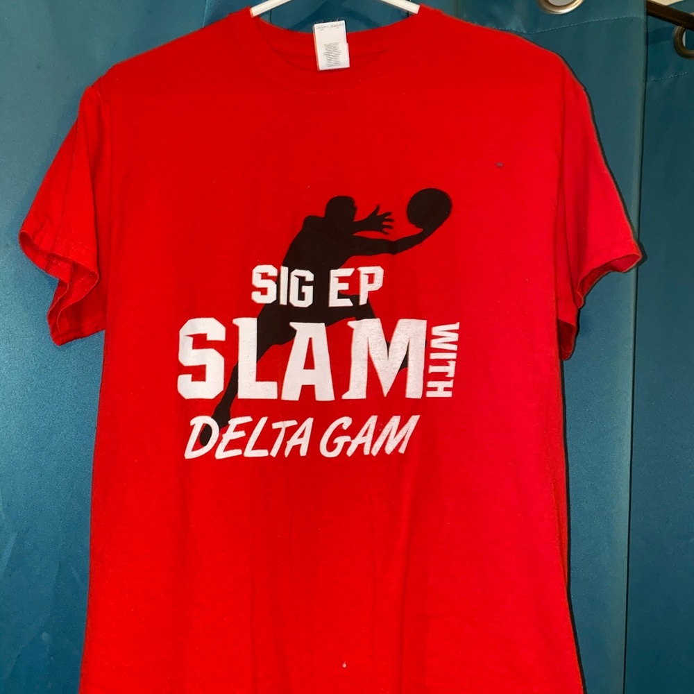Sig Ep Delta Gamma shirt